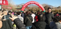 泰山區(qū)岱廟街道2019年“春風行動”專場招聘會