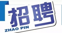 岱岳區(qū)政務服務中心招人啦！大專以上學歷，即日起報名